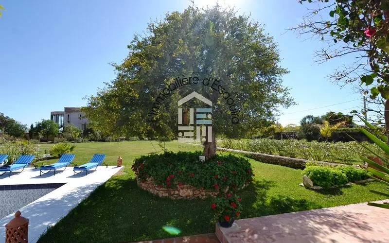 Location - Maison de campagne - 247 m² - Campagne - 1200 € - Essaouira - 5278